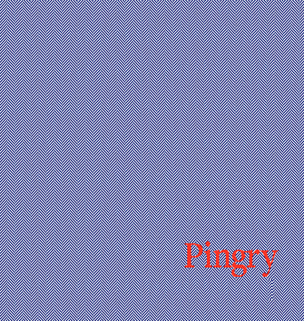 NEW NAVY /Natural Herringbone with the Pingry Herringbone