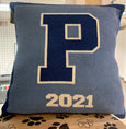 PDS 2023 Pillow 20 x 20