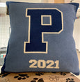 PDS 2023 Pillow 20 x 20