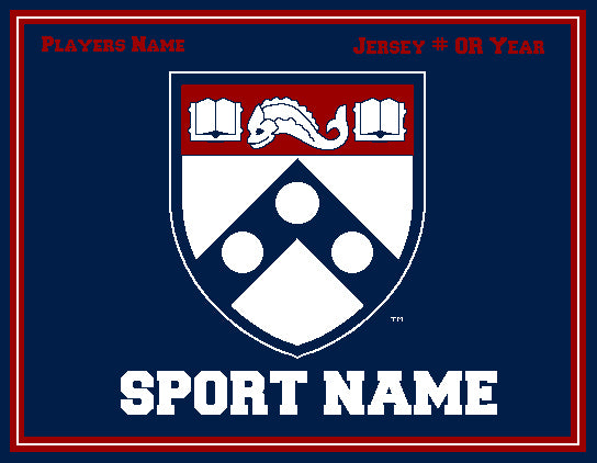 PENN Academic Shield Customized ANY SPORT  60 x 50