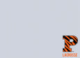 NEW Lacrosse Ash & Natural Herringbone with Princeton Tiger Stripe P 60 x 50