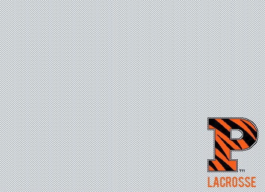 NEW Lacrosse Ash & Natural Herringbone with Princeton Tiger Stripe P 60 x 50