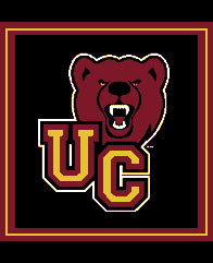 Ursinus Bear Pillow 20 x 20