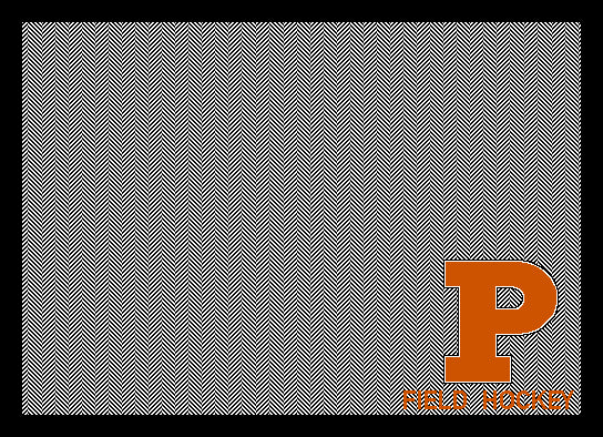 NEW Princeton Herringbone Field Hockey 60 x 50