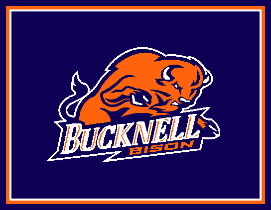 Bucknell University 60 x 50