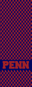 PENN Chevron "PENN" Scarf 9 x 60