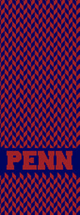 PENN Chevron "PENN"  Scarf 9 x 60