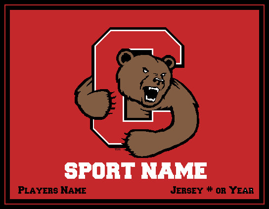 Cornell Any SPORT Red Base 60 x 50 Customized with Sport, Name, # or Year