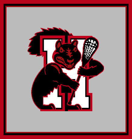 Haverford Grey Base Squirrel Lacrosse 50 x 60