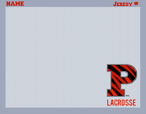 Princeton Custom Lacrosse Ash & Natural Herringbone with Princeton Tiger Stripe P Name and # 60 x 50