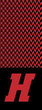 Haverford H Chevron Scarf