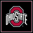 Ohio State University Blanket