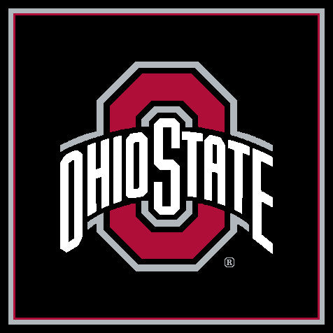 Ohio State University Blanket