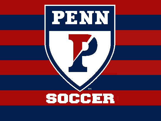 PENN Striped Athletic Shield SOCCER