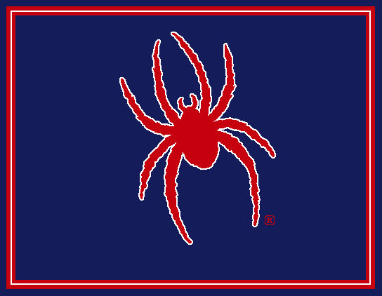 Richmond Spider Navy 60 x 50