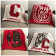 NEW Cornell Multi Logo Dorm, Office, Alumni, Tailgate Blanket