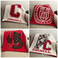 Cornell Multi Logo Dorm, Office, Alumni, Tailgate Blanket