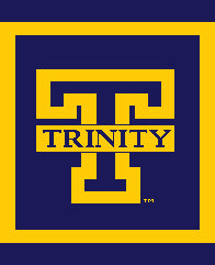 Trinity Pillow 20 x 20