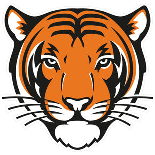 Princeton University Men's Lacrosse