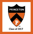 Princeton Pillows 20 x 20