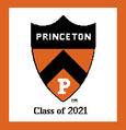 Princeton Pillows 20 x 20