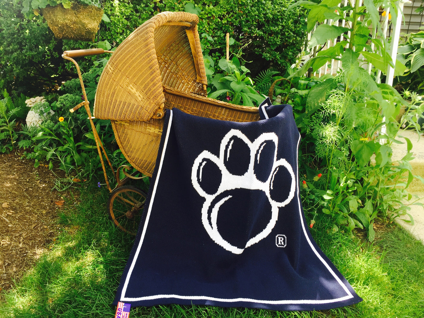 Penn State Baby  30 x 40