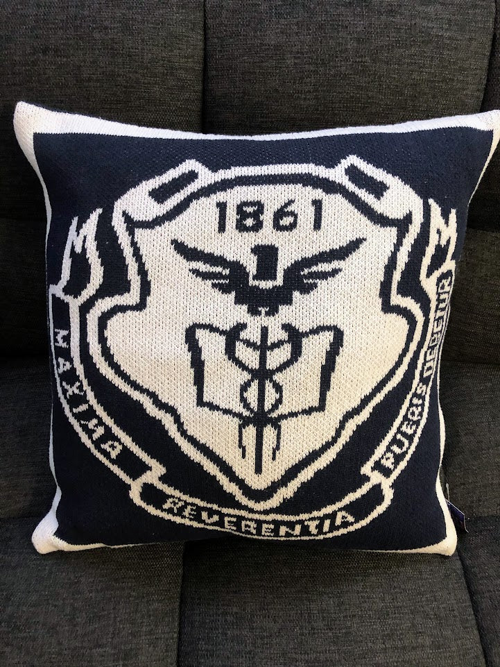 Pingry Seal pillow  20 x 20