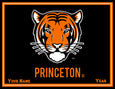 Princeton Tiger 60 x 50