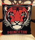 Princeton Pillows 20 x 20