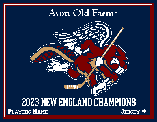 Avon Old Farms Custom 2023 NE Hockey Champions Name & Number  60 x 50