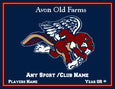 Avon Old Farms Custom ANY  ONE SPORT /CLUB Name & Number OR Year  60 x 50