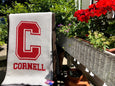 Cornell Ash & Natural Herringbone with   "C"  CORNELL  60 x 50