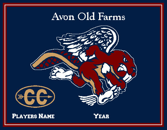 Avon Old Farms Custom CROSS COUNTRY Name & Number OR Year  60 x 50