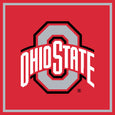 Ohio State University Blanket - Cherry