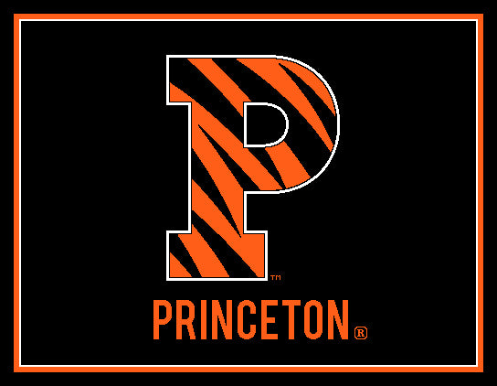 Princeton Striped P 60 x 50