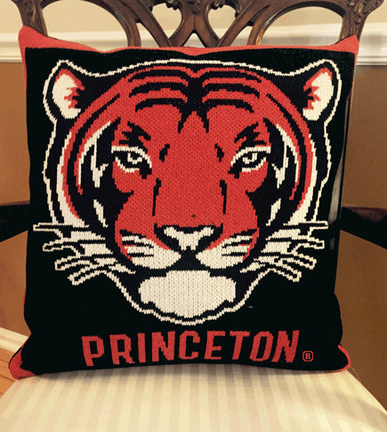 Princeton Tiger Pillow 20 x 20
