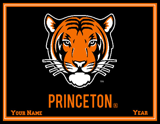 Custom Princeton Tiger  60 x 50