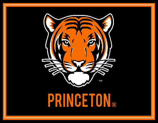Princeton Tiger 60 x 50
